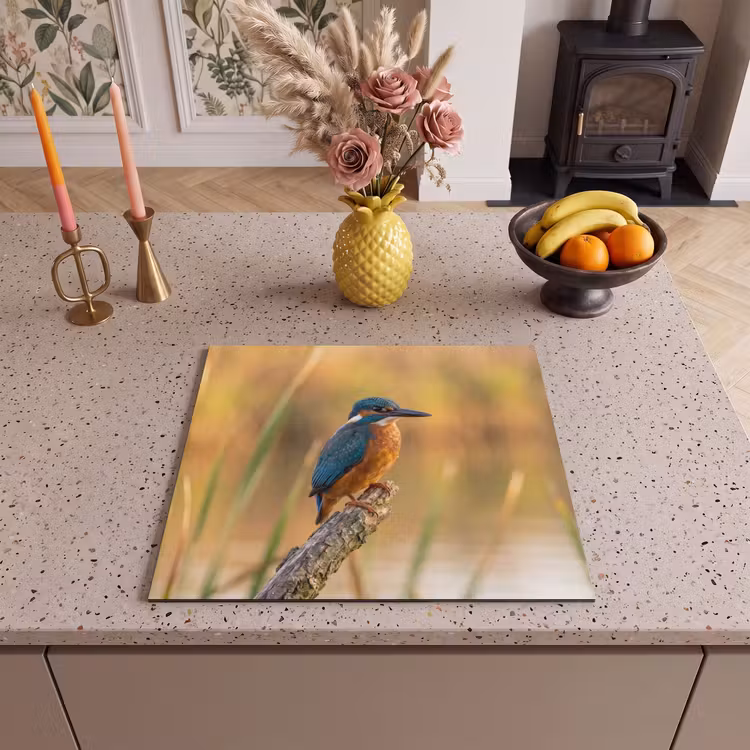 Herdabdeckplatte - Eisvogel - Zweig - Wasser - Bunt - Lebendig — 3