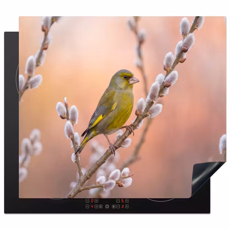 Herdabdeckplatte - Grünfink - Katzen - Frühling - Natur - Weich — 1