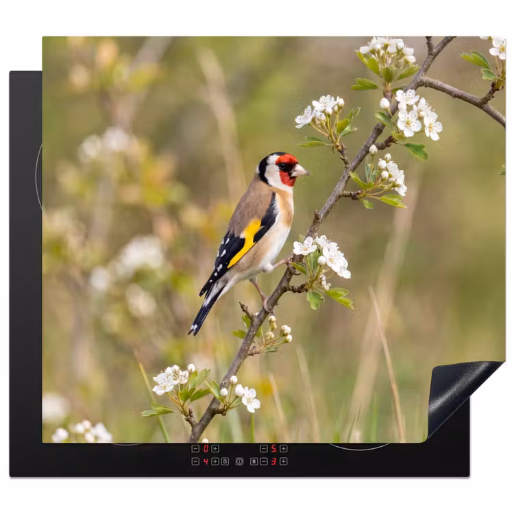 Herdabdeckplatte - Stieglitz - Blüte - Frühling - Natur - Farbenfroh — 1