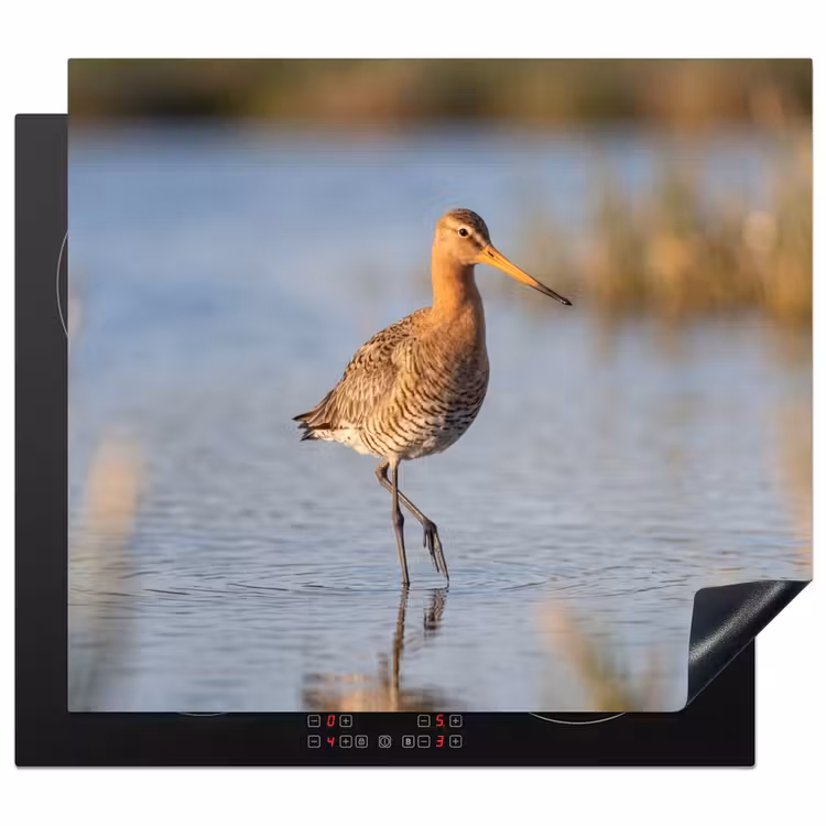 Herdabdeckplatte - Vogel - Stelzenläufer - Wasser - Natur — 1