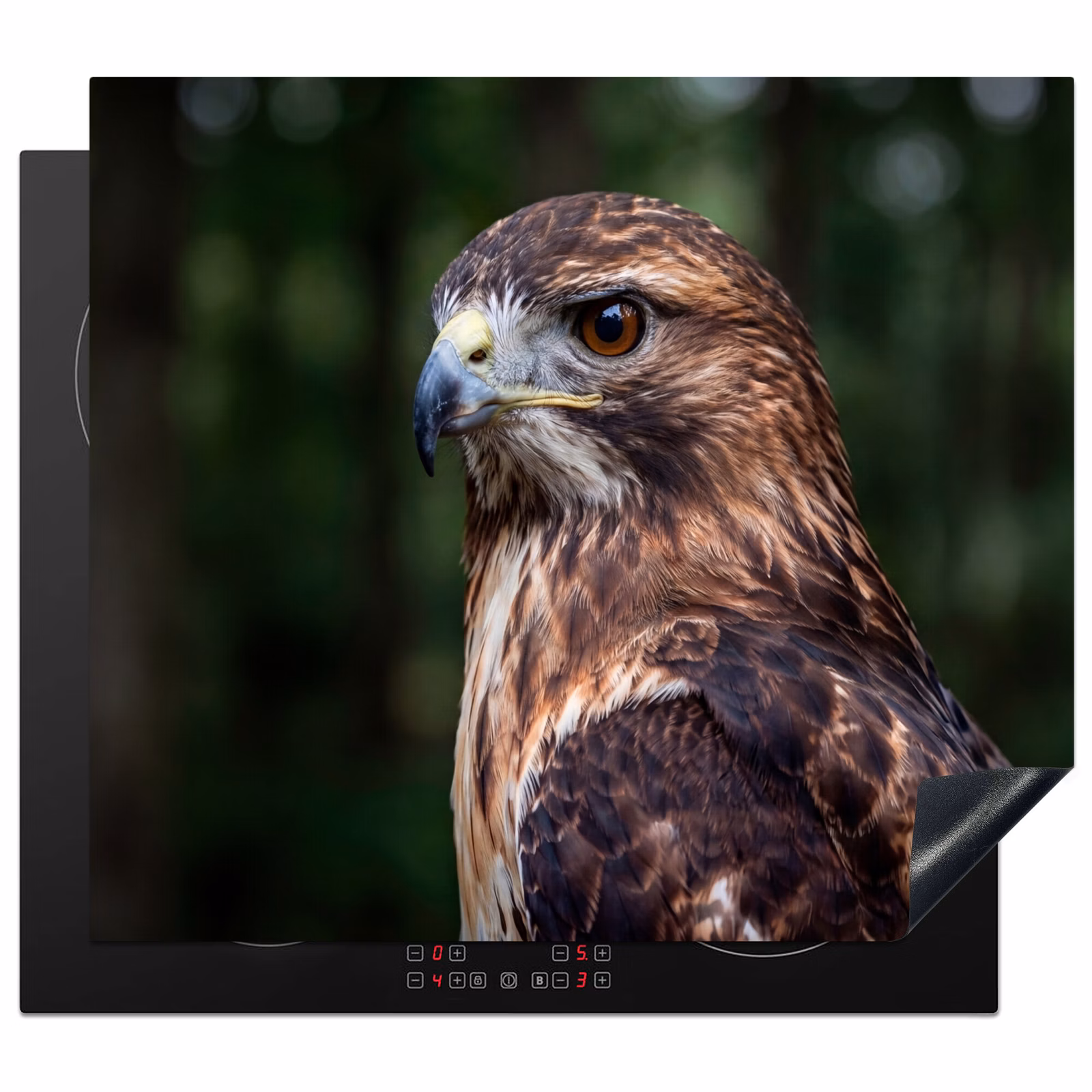 Herdabdeckplatte - Bussard - Raubvogel - Natur - Braun — 1