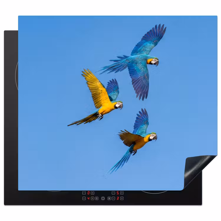 Herdabdeckplatte - Papagei - Fliegen - Blau - Gelb — 1
