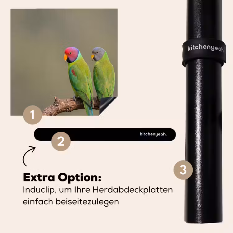 Herdabdeckplatte - Papagei - Zweig - Natur - Farbenfroh — 8