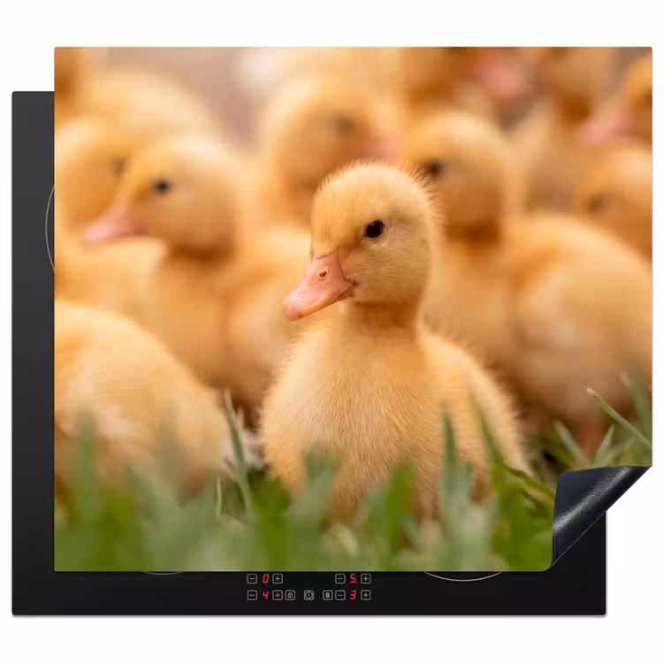 Herdabdeckplatte - Pfeil - Ente - Natur - Gelb — 1