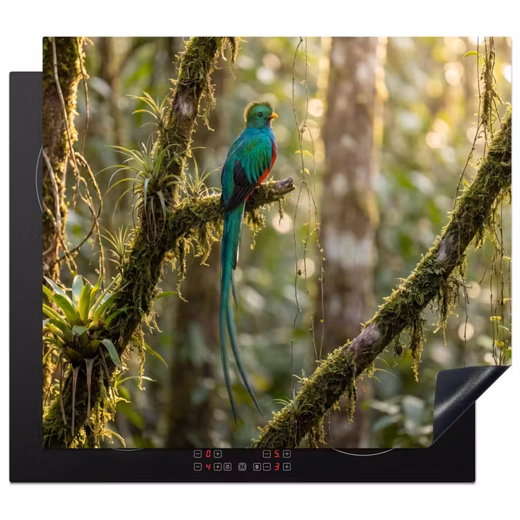 Herdabdeckplatte - Quetzal - Dschungel - Natur - Grün — 1