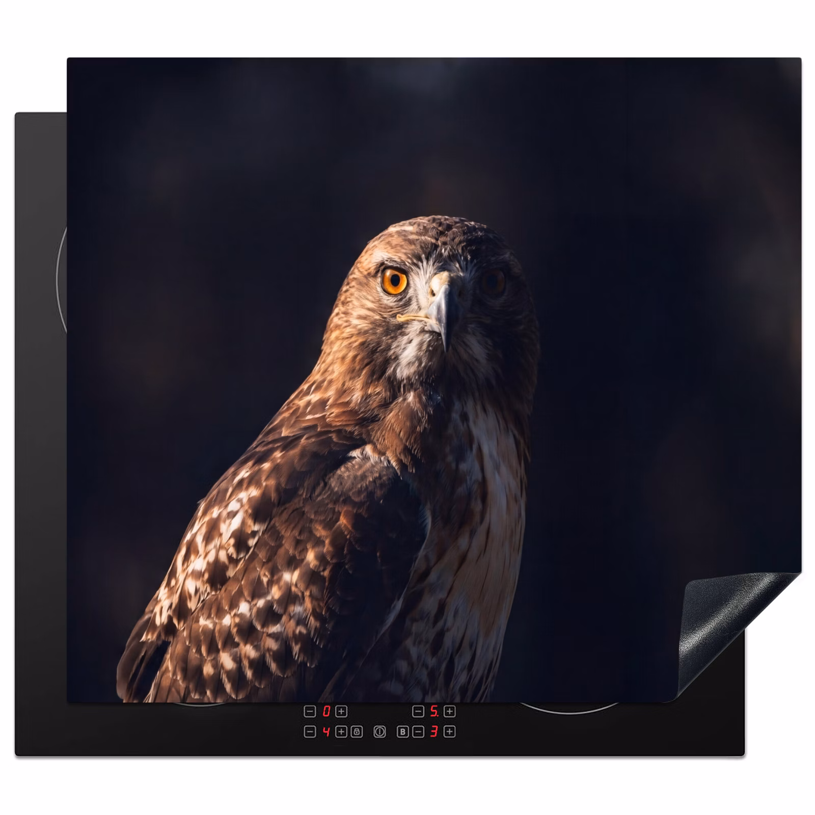 Herdabdeckplatte - Raubvogel - Mäusebussard - Braun — 1