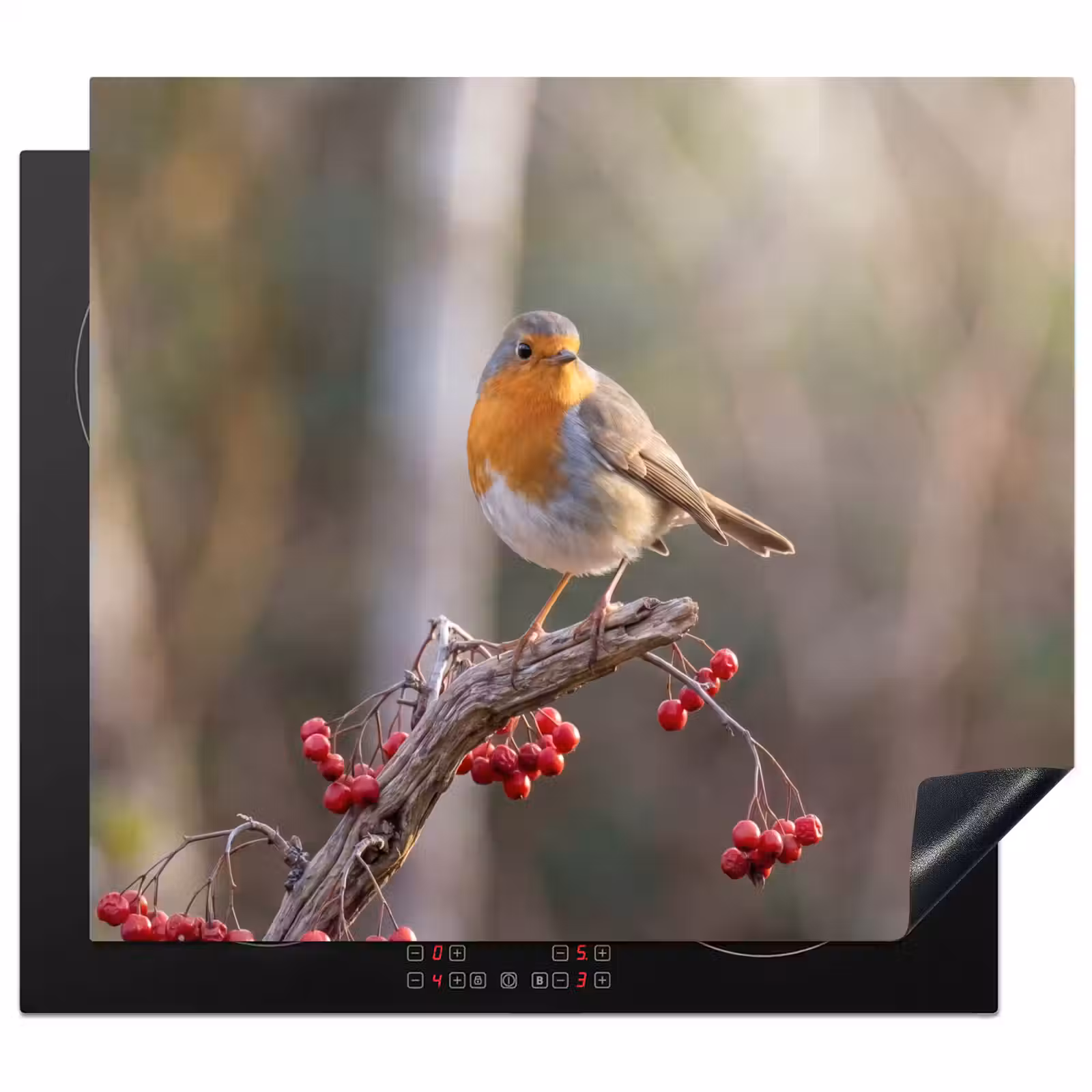 Herdabdeckplatte - Rotkehlchen - Zweig - Beeren - Natur — 1