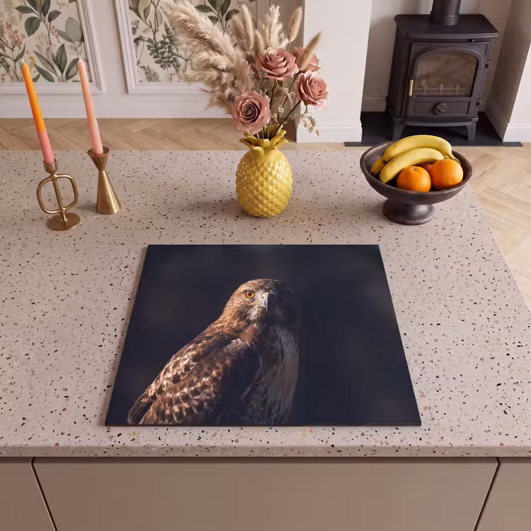 Herdabdeckplatte - Raubvogel - Mäusebussard - Braun — 3