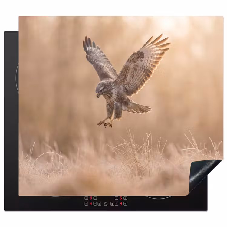 Herdabdeckplatte - Bussard - Raubvogel - Natur - Braun — 1
