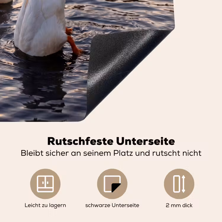 Herdabdeckplatte - Enten - Wasser - Natur — 6