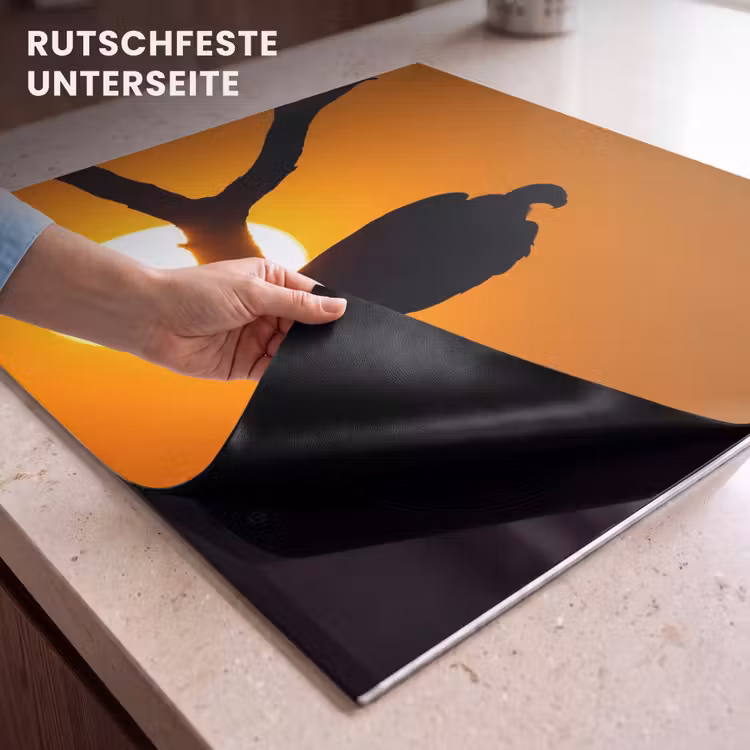 Herdabdeckplatte - Geier - Zweig - Sonne - Orange — 6