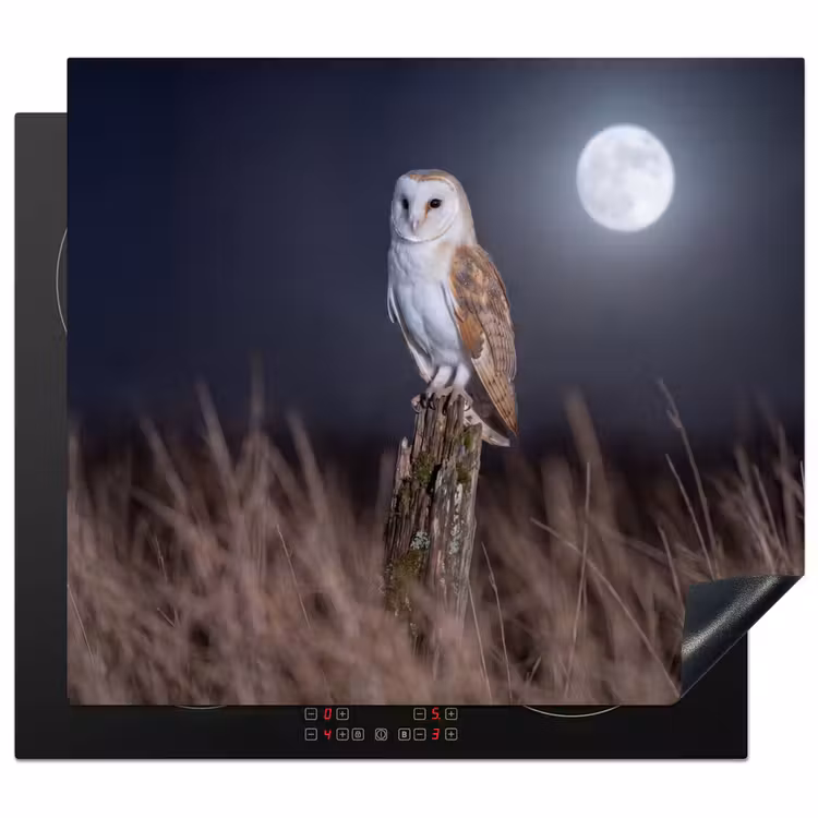Herdabdeckplatte - Schleiereule - Mond - Nacht — 1