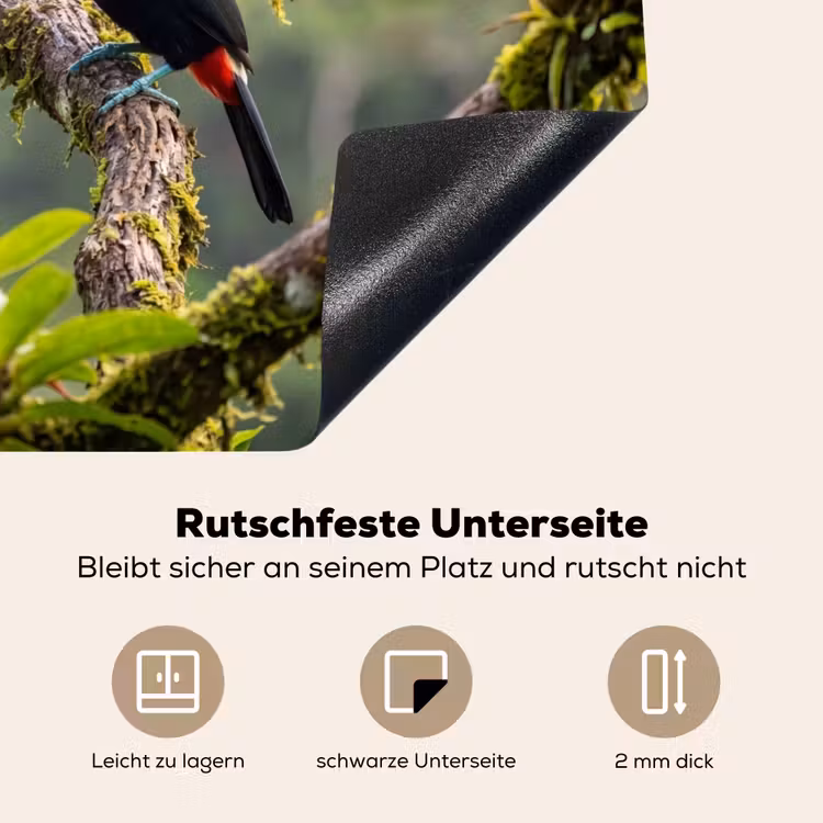 Herdabdeckplatte - Tukan - Dschungel - Natur - Farbenfroh — 6