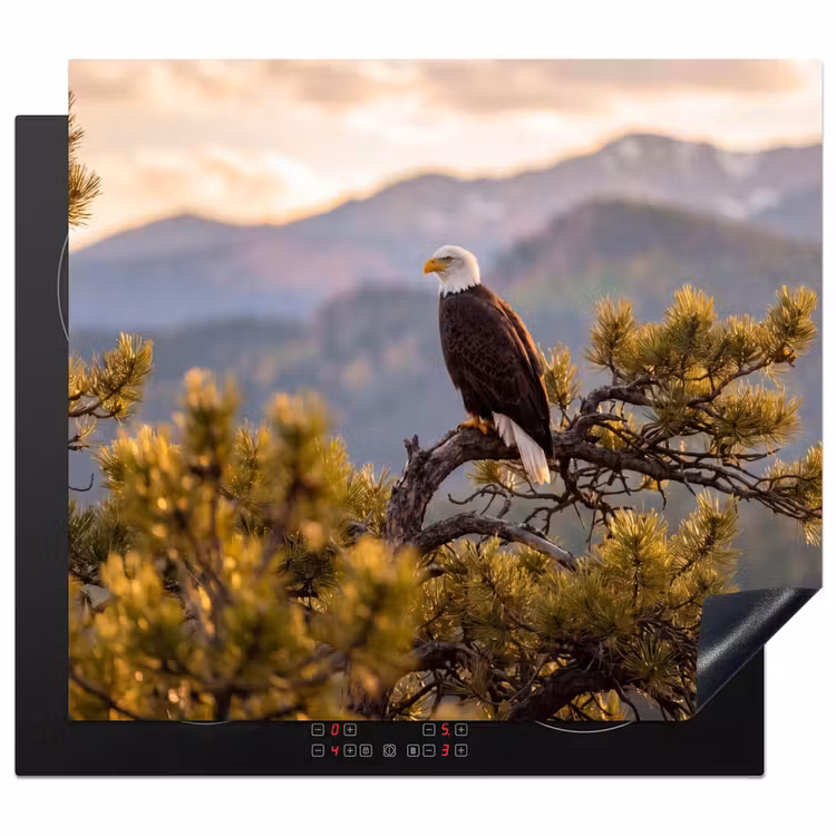 Herdabdeckplatte - Weißkopfseeadler - Baum - Berg - Grün — 1