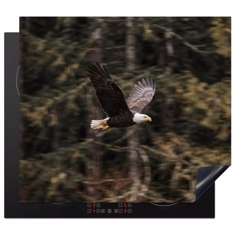 Herdabdeckplatte - Weißkopfseeadler - Fliegen - Wald - Natur — 1