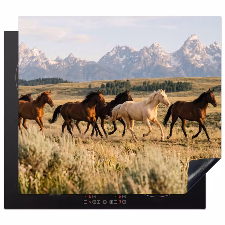 Herdabdeckplatte - Pferde - Herde - Berge - Freiheit - Wildnis — 1