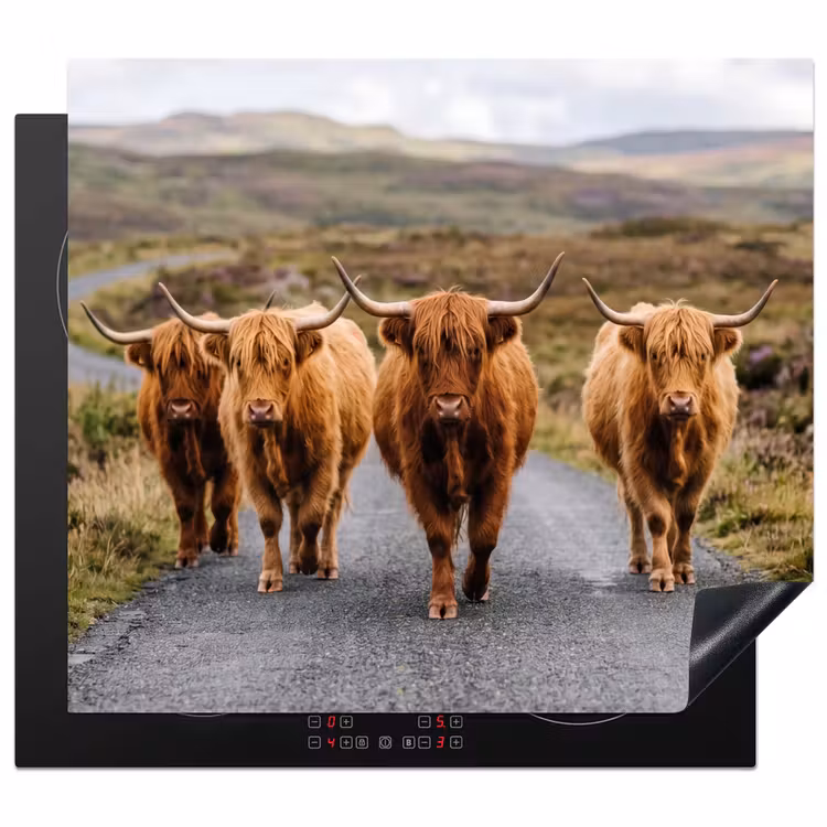 Herdabdeckplatte - Schottische Highlander - Straße - Landschaft - Herde — 1