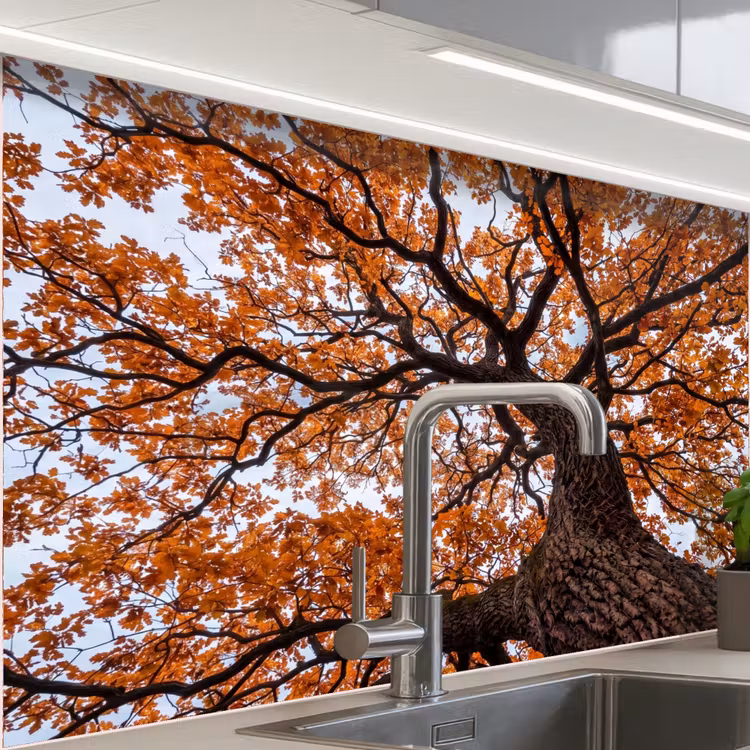 Küchen rückwand - Baum - Laubdach - Herbst - Orange - Atmosphärisch — 1