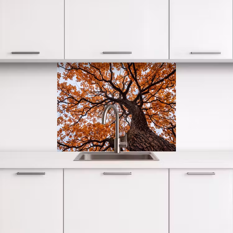 Küchen rückwand - Baum - Laubdach - Herbst - Orange - Atmosphärisch — 3