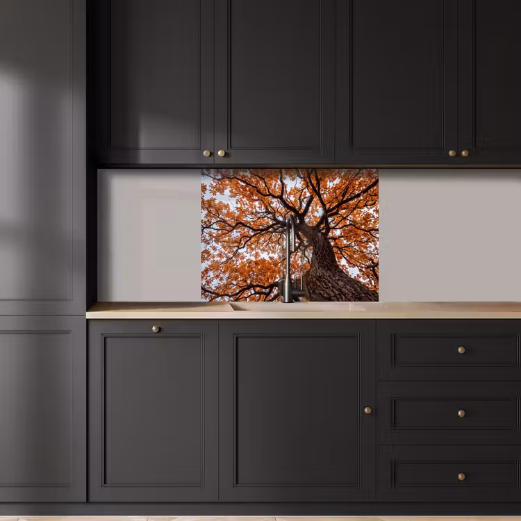 Küchen rückwand - Baum - Laubdach - Herbst - Orange - Atmosphärisch — 5