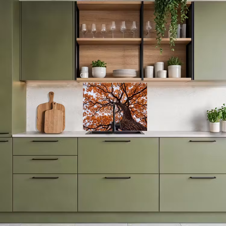 Küchen rückwand - Baum - Laubdach - Herbst - Orange - Atmosphärisch — 7