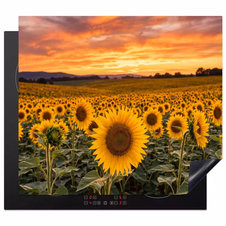 Herdabdeckplatte - Sonnenblumen - Hügellandschaft - Gelb — 1
