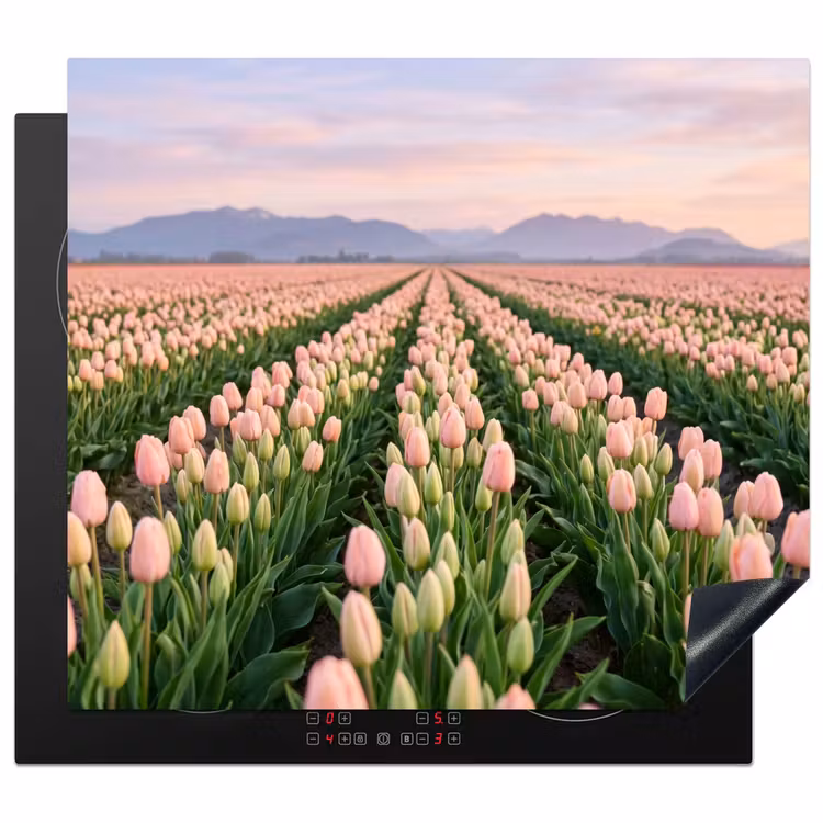 Herdabdeckplatte - Tulpen - Landschaft - Rosa — 1