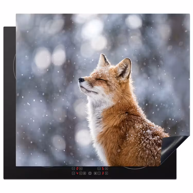 Herdabdeckplatte - Fuchs - Schneefall - Porträt - Winter - Atmosphärisch — 1