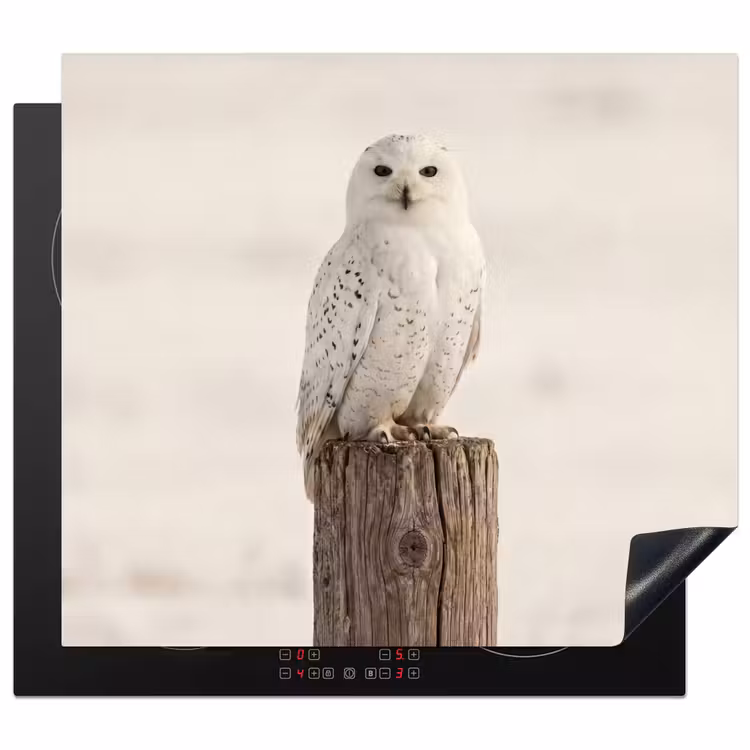 Herdabdeckplatte - Schneeeule - Pfahl - Winter - Porträt - Majestätisch — 1