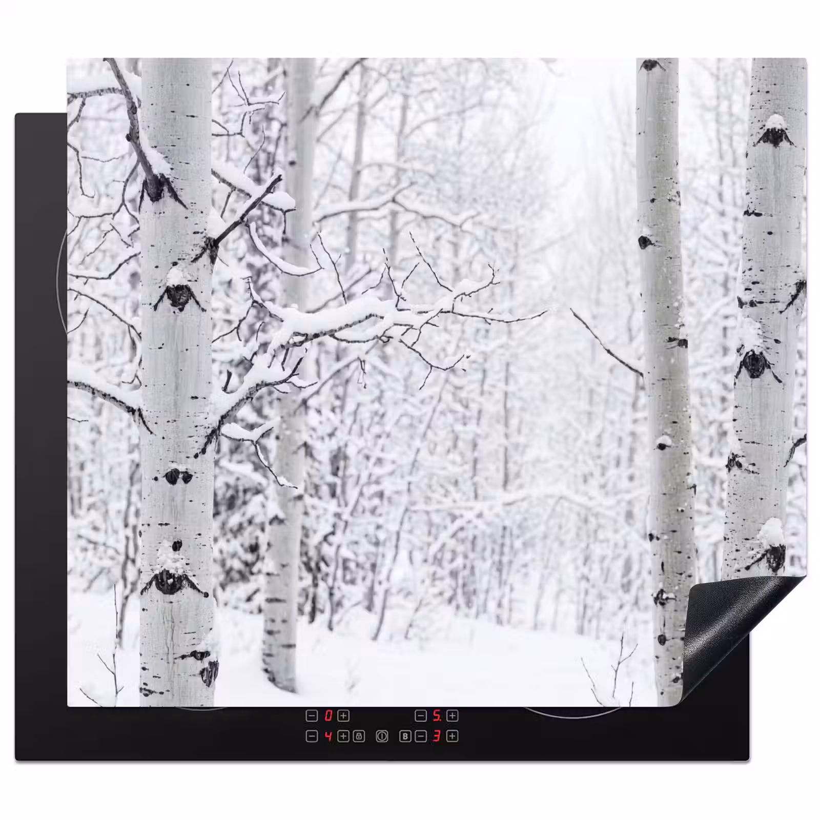Herdabdeckplatte - Birke - Schnee - Winter - Wald - Weiß — 1