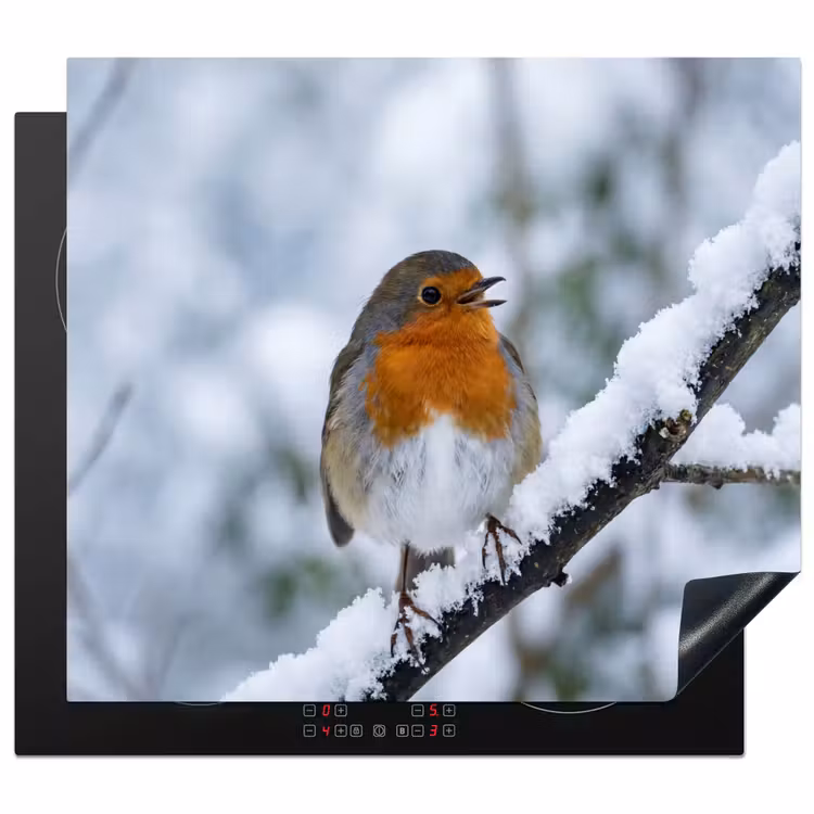 Herdabdeckplatte - Rotkehlchen - Zweig - Schnee - Winter - Lebendig — 1