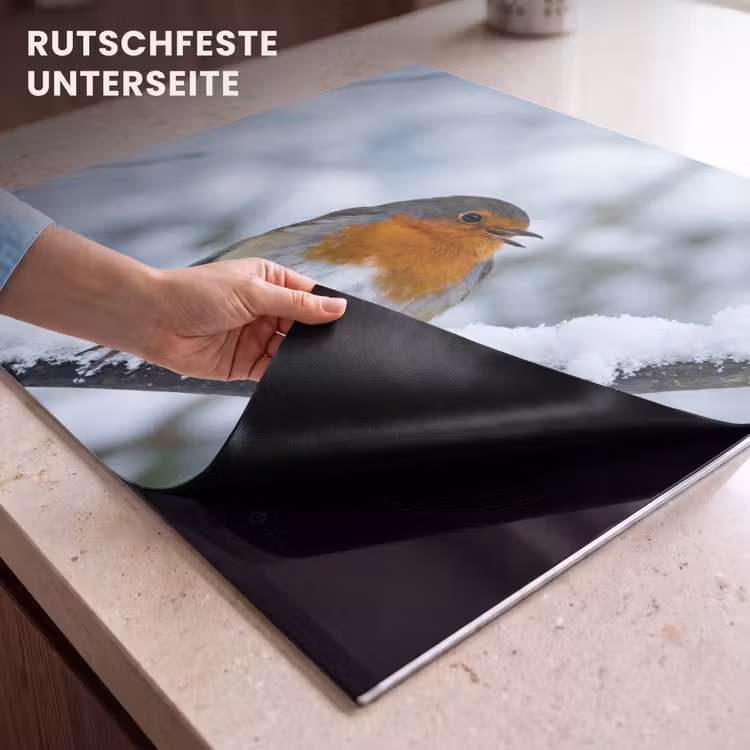 Herdabdeckplatte - Rotkehlchen - Zweig - Schnee - Winter - Lebendig — 6