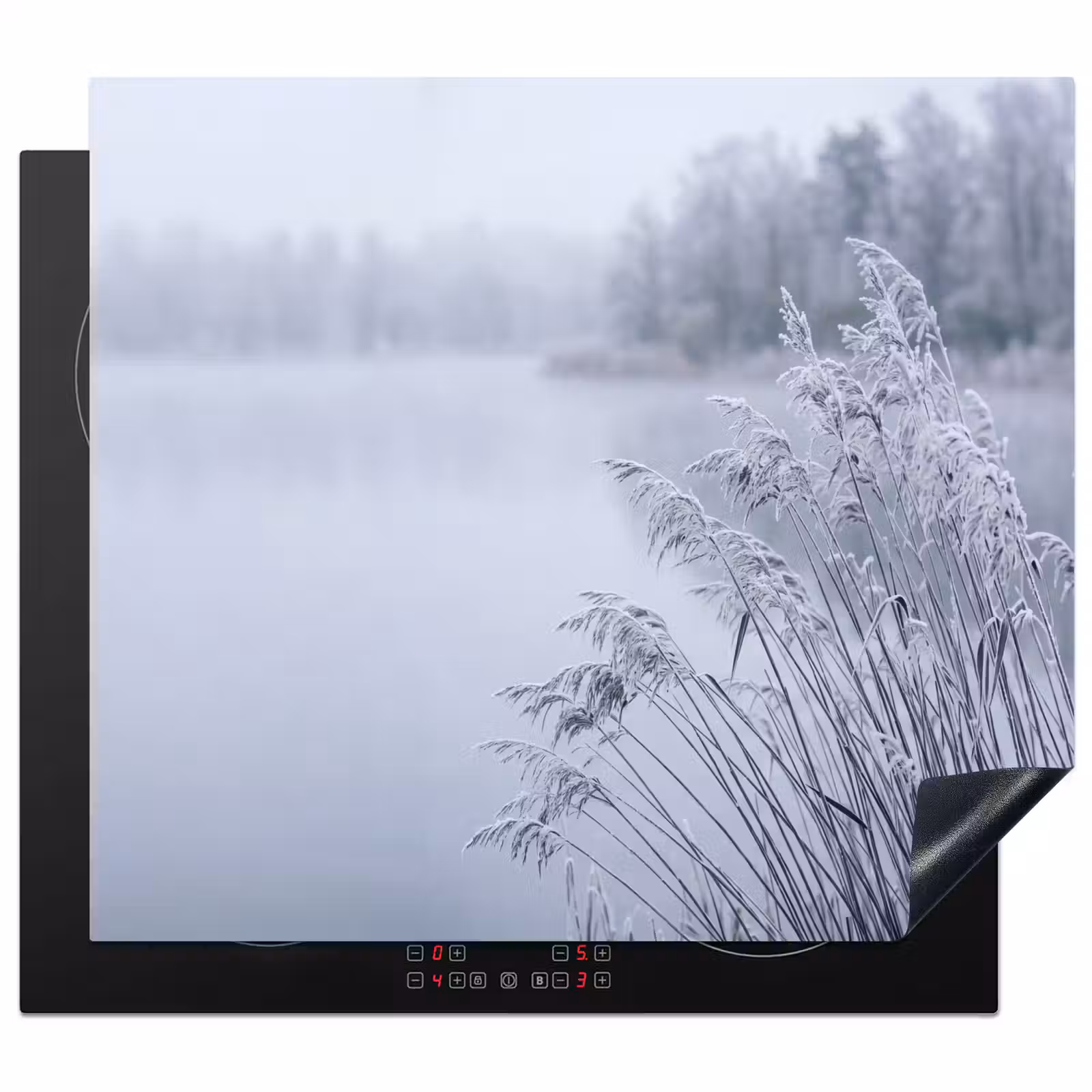 Herdabdeckplatte - Schilf - Gefroren - Winter - Natur — 1