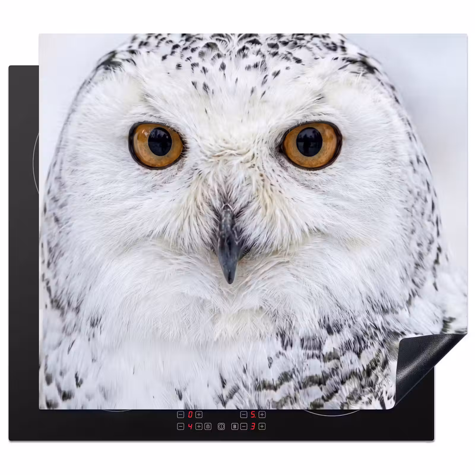 Herdabdeckplatte - Schneeeule - Auge - Wildtiere - Weiß — 1