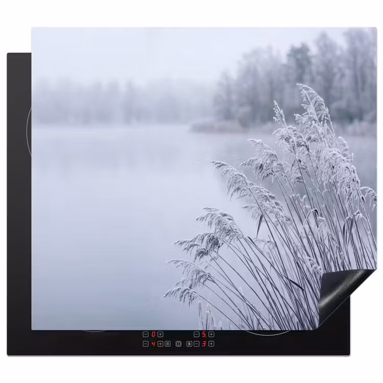 Herdabdeckplatte - Schilf - Gefroren - Winter - Natur — 1
