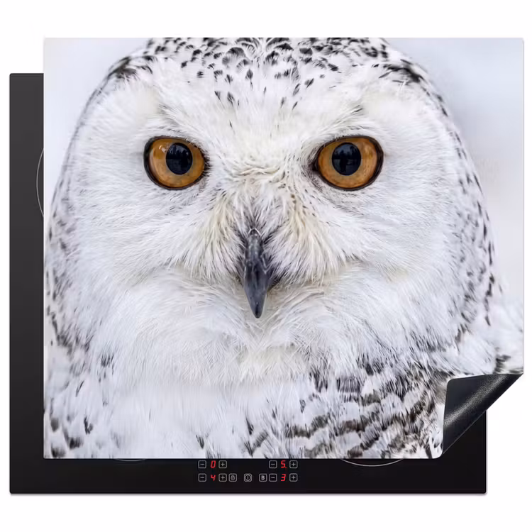 Herdabdeckplatte - Schneeeule - Auge - Wildtiere - Weiß — 1