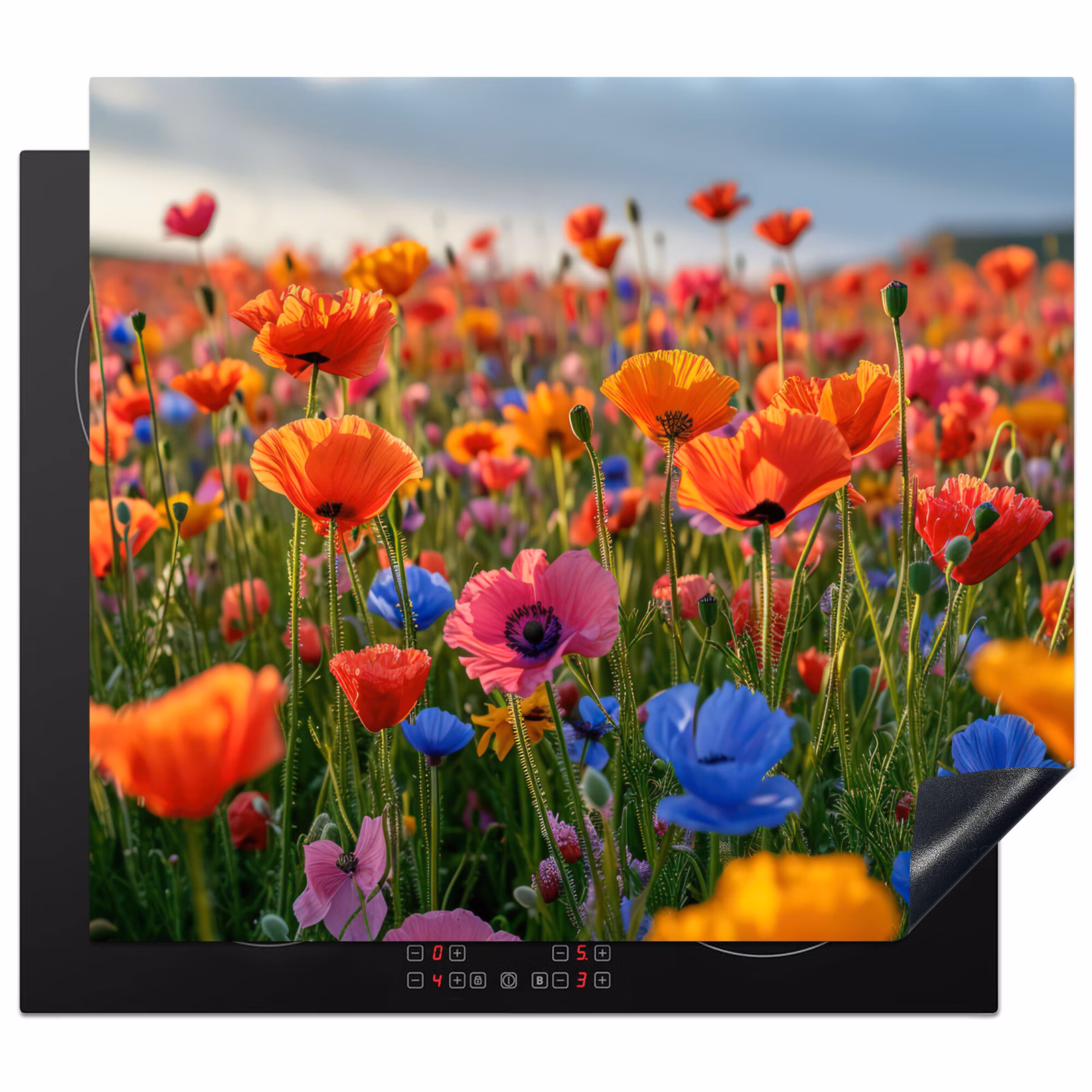 Herdabdeckplatte - Blumen - Bunt - Blumenfeld - Pflanzen - Orange — 1