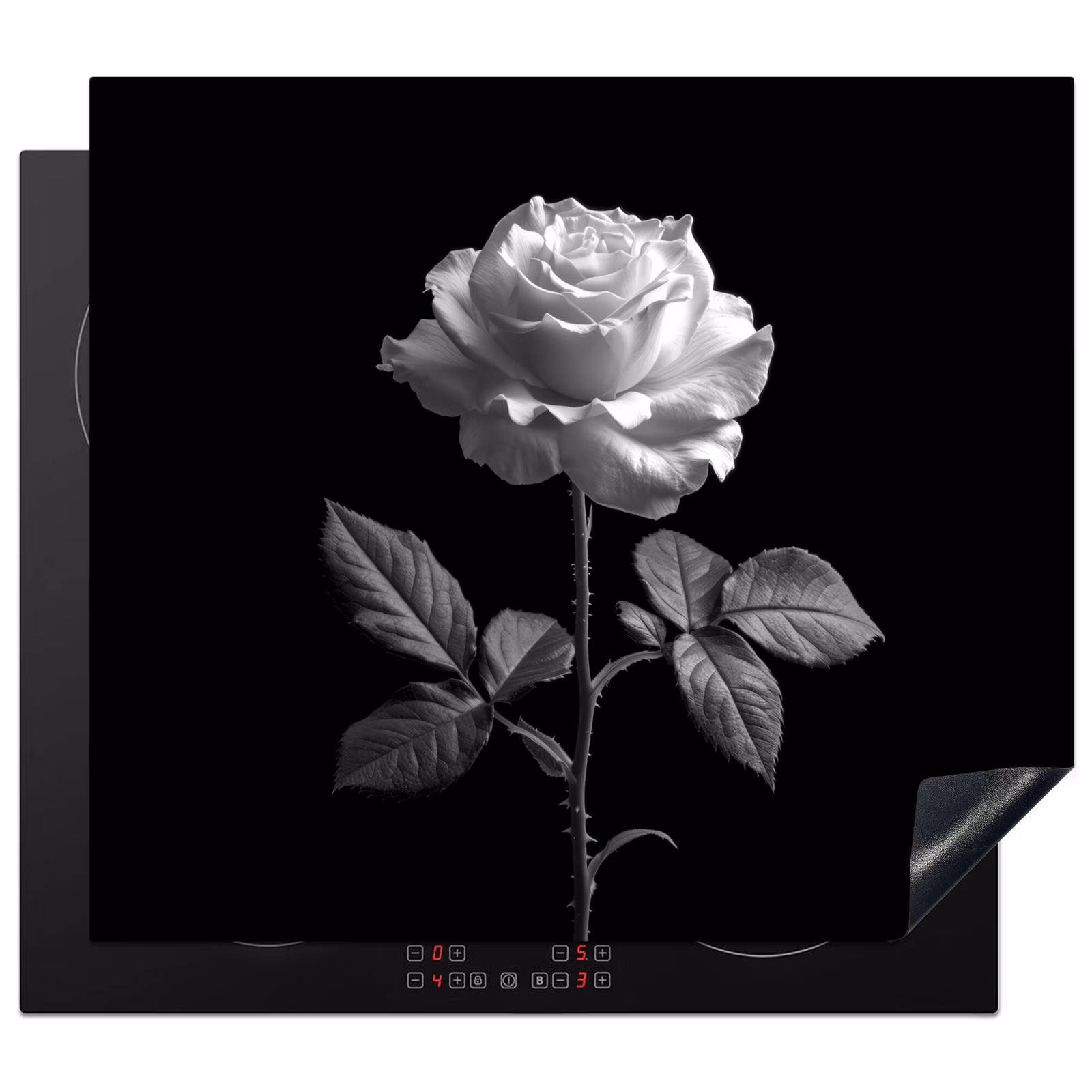 Herdabdeckplatte - Rose - Schwarz und weiß - Blume — 1