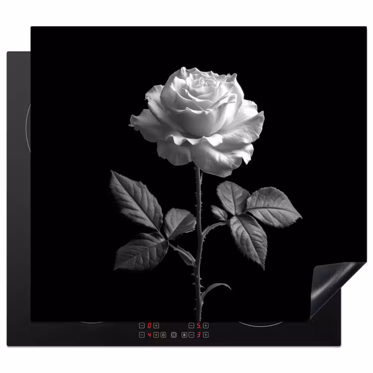 Herdabdeckplatte - Rose - Schwarz und weiß - Blume — 1