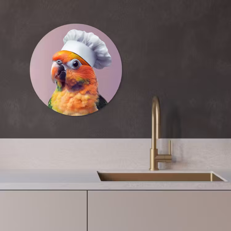 Runde Bilder - Papagei - Kochmütze - Neugierig - Vogel — 2