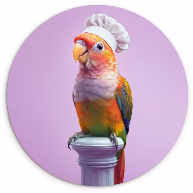 Runde Bilder - Papagei - Kochmütze - Säule - Vogel — 1