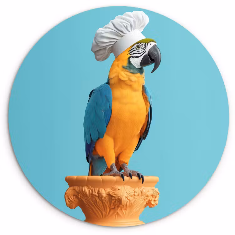 Runde Bilder - Papagei - Kochmütze - Lustig - Vogel — 1