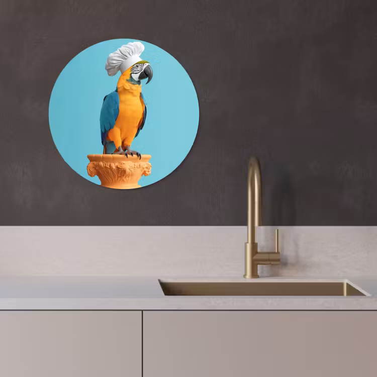 Runde Bilder - Papagei - Kochmütze - Lustig - Vogel — 4