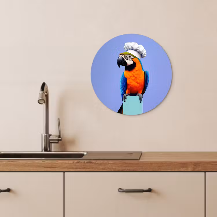 Runde Bilder - Papagei - Kochmütze - Vogel - Spaß — 4
