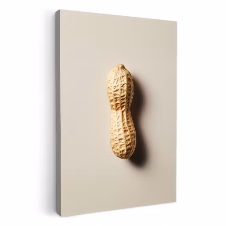 Leinwandbilder - Erdnuss - Roh - Beige — 1