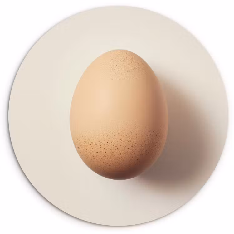 Runde Bilder - Ei - Beige - Oval - Oval — 2
