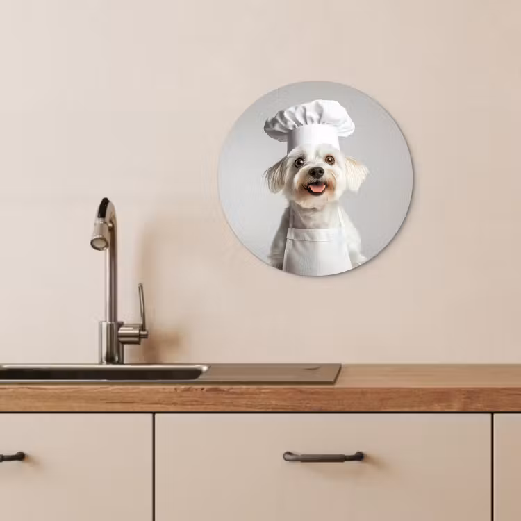 Runde Bilder - Hund - Weiß - Koch — 2