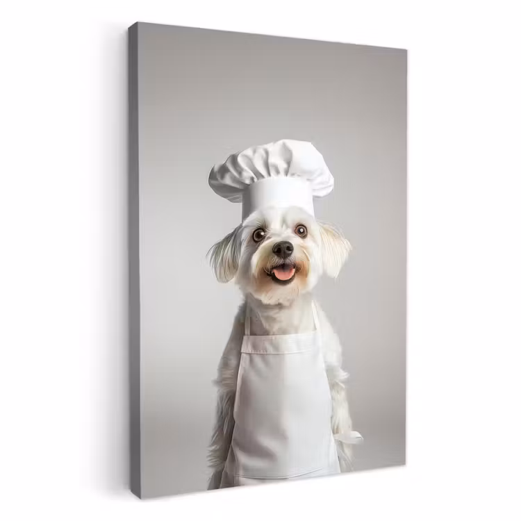 Leinwandbilder - Hund - Weiß - Koch — 1
