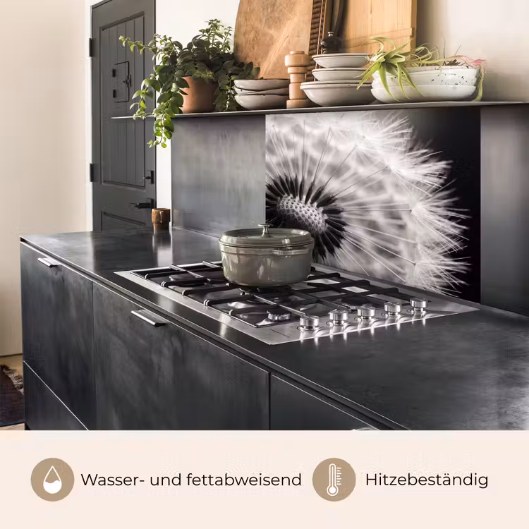 Küchenrückwand - Pusteblume - Schwarz - Weiß — 4