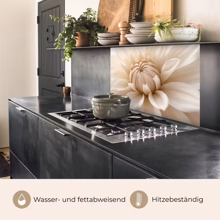Küchenrückwand - Blume - Dahlie - Weiß — 4